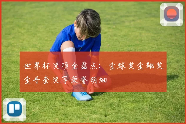 世界杯奖项全盘点：金球奖金靴奖金手套奖等荣誉明细