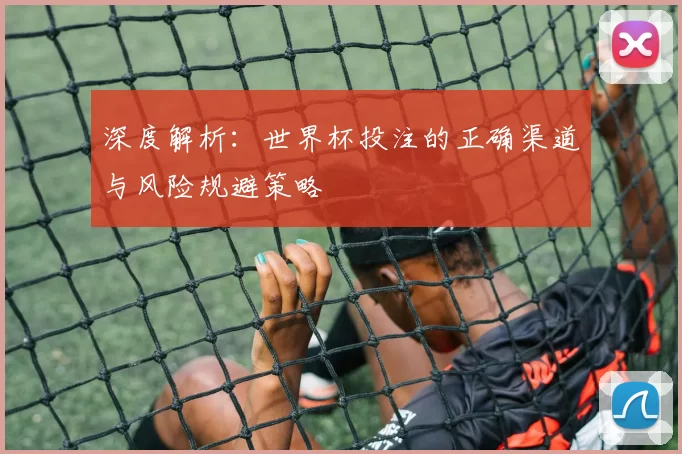 深度解析:世界杯投注的正确渠道与风险规避策略