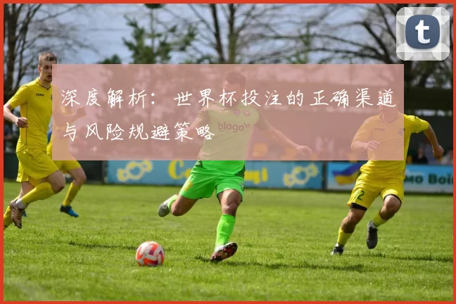 深度解析：世界杯投注的正确渠道与风险规避策略