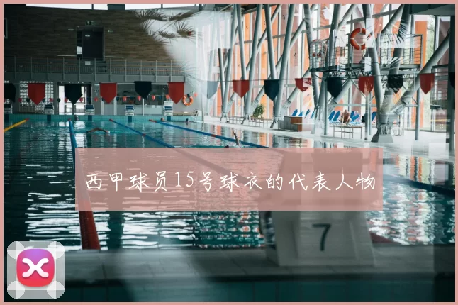 西甲球员15号球衣的代表人物