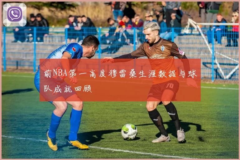 前NBA第一高度穆雷桑生涯数据与球队成就回顾