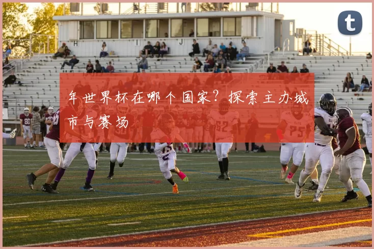 年世界杯在哪个国家？探索主办城市与赛场
