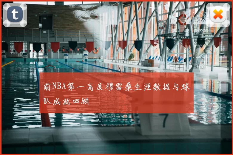 前NBA第一高度穆雷桑生涯数据与球队成就回顾