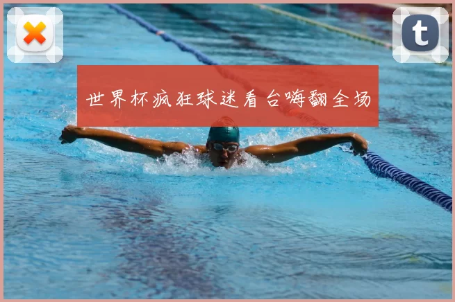 世界杯疯狂球迷看台嗨翻全场