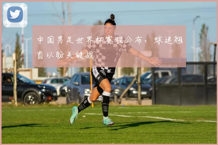 中国男足世界杯赛程公布，球迷翘首以盼关键战