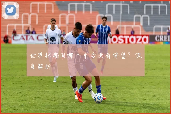 世界杯期间哪个平台没有停售？深度解析