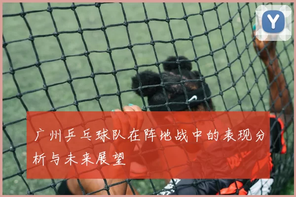 广州乒乓球队在阵地战中的表现分析与未来展望