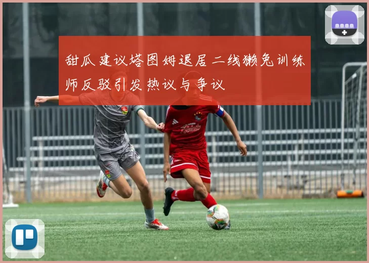 甜瓜建议塔图姆退居二线獭兔训练师反驳引发热议与争议