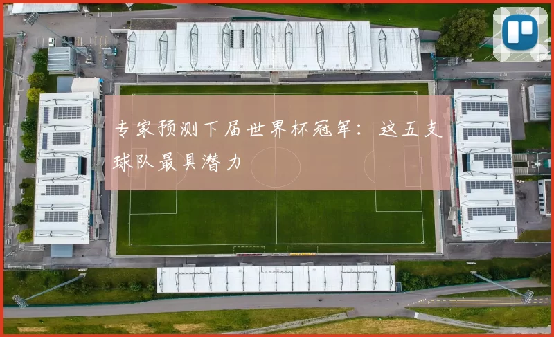 专家预测下届世界杯冠军：这五支球队最具潜力
