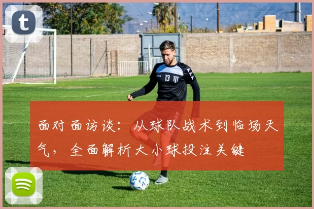 面对面访谈:从球队战术到临场天气,全面解析大小球投注关键