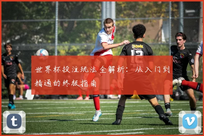 世界杯投注玩法全解析：从入门到精通的终极指南