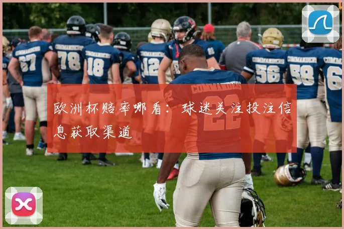 欧洲杯赔率哪看：球迷关注投注信息获取渠道