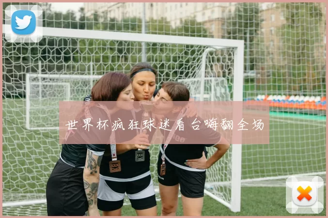 世界杯疯狂球迷看台嗨翻全场