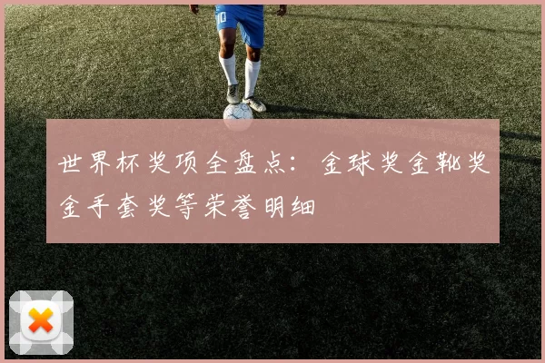 世界杯奖项全盘点：金球奖金靴奖金手套奖等荣誉明细