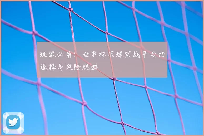 玩家必看:世界杯买球实战平台的选择与风险规避